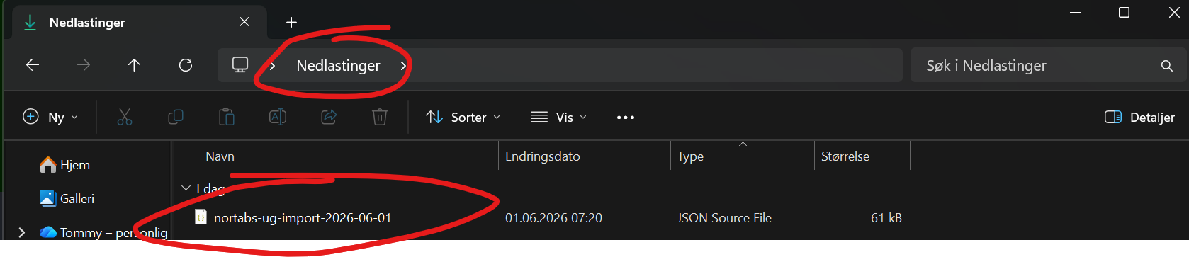 Nedlastet JSON-fil i Downloads-mappa